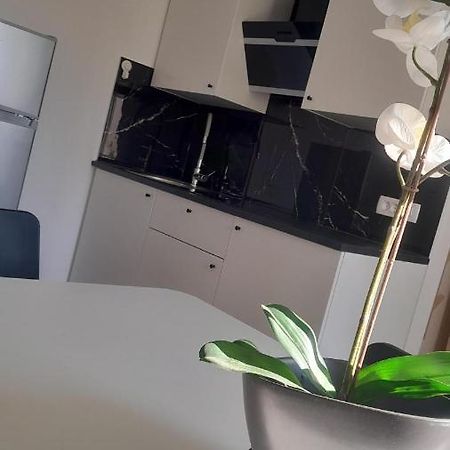 Apartma Ana Koper Buitenkant foto