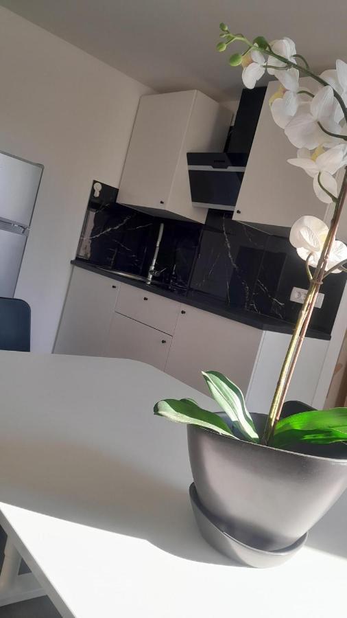 Apartma Ana Koper Buitenkant foto